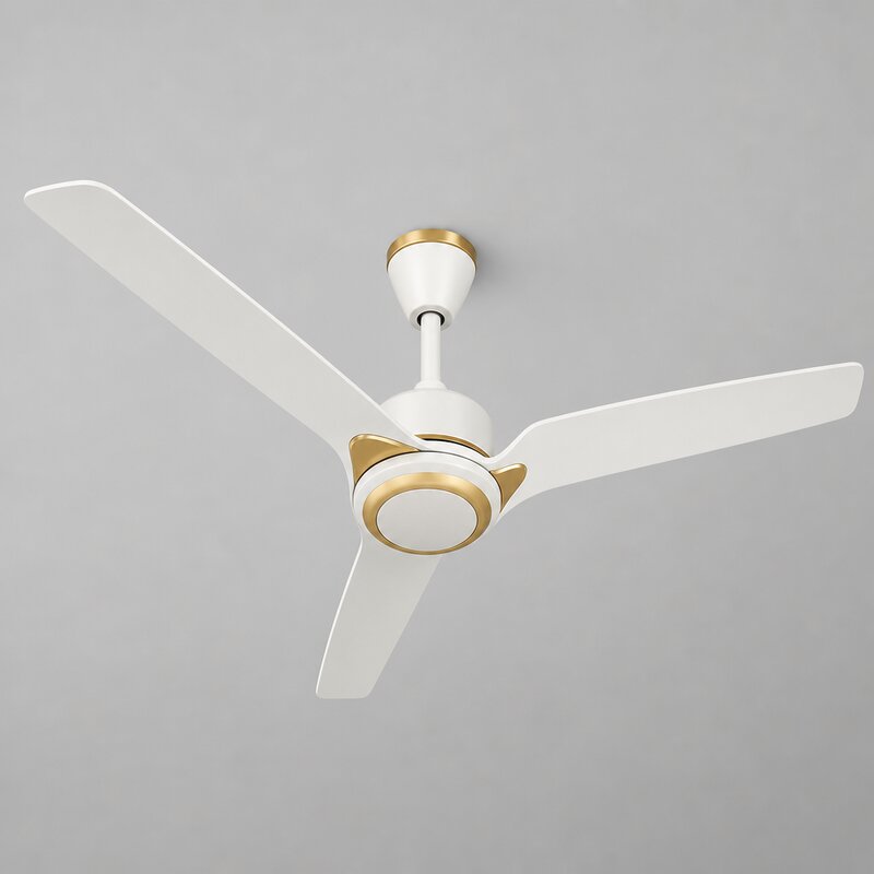 BLDC Fan